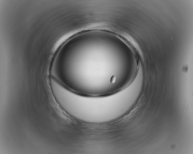 X0000097001336200802081435