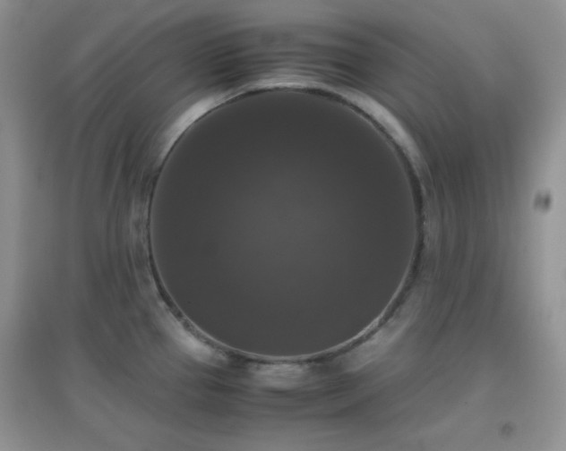 X0000097001337200802081435