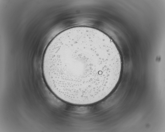 X0000097001338200802081435
