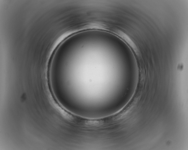 X0000097001339200802081435