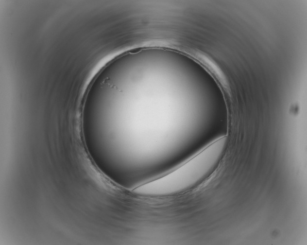 X0000097001340200802081435