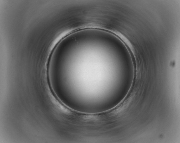 X0000097001341200802081435