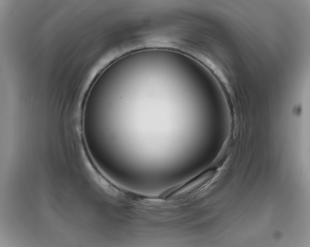 X0000097001342200802081435