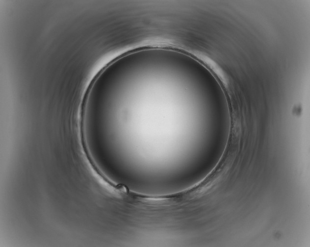 X0000097001343200802081435