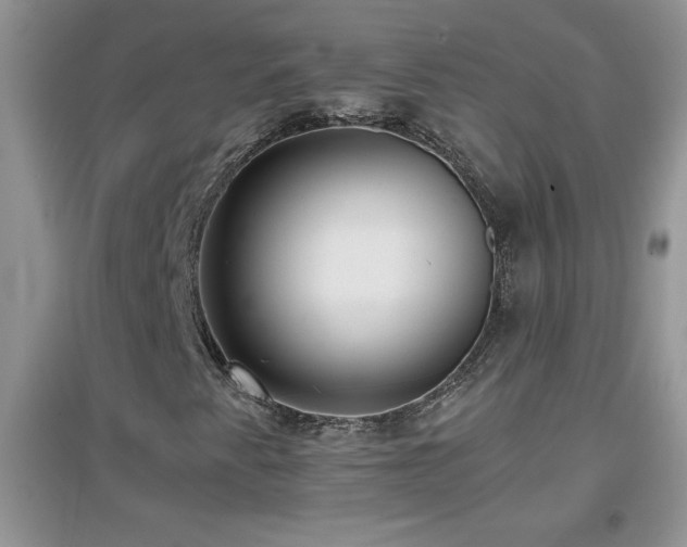 X0000097001345200802081435