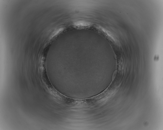 X0000097001346200802081435