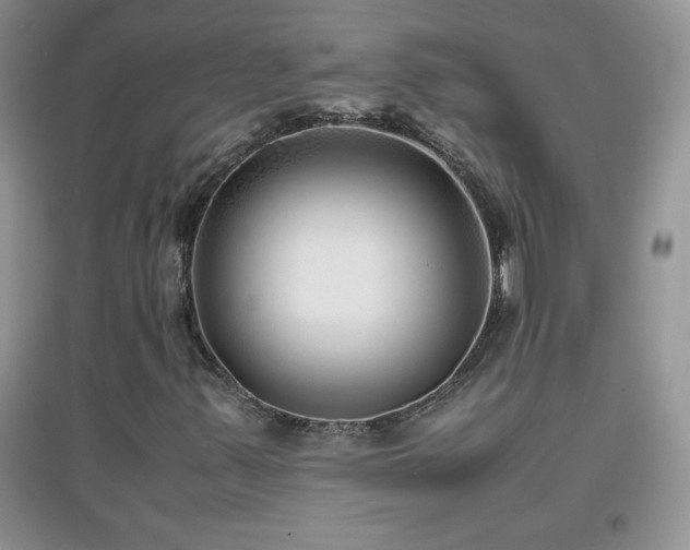 X0000097001347200802081435