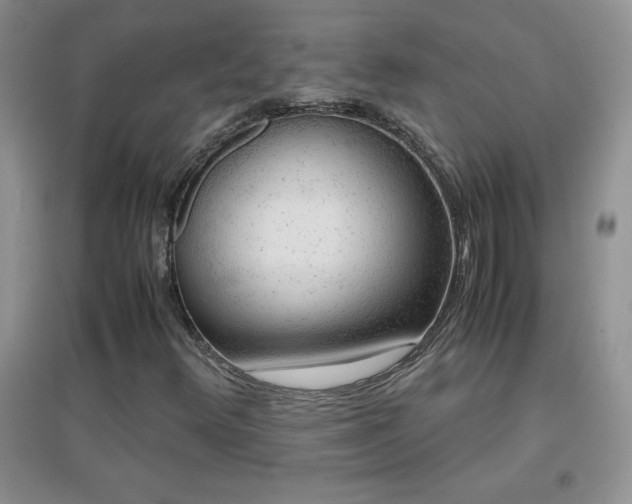 X0000097001348200802081435