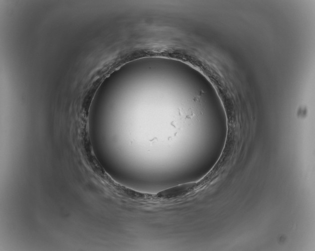 X0000097001349200802081435
