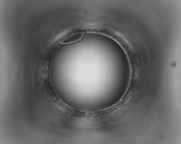 X0000097001350200802081435