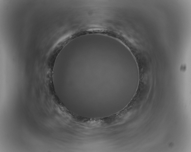X0000097001351200802081435