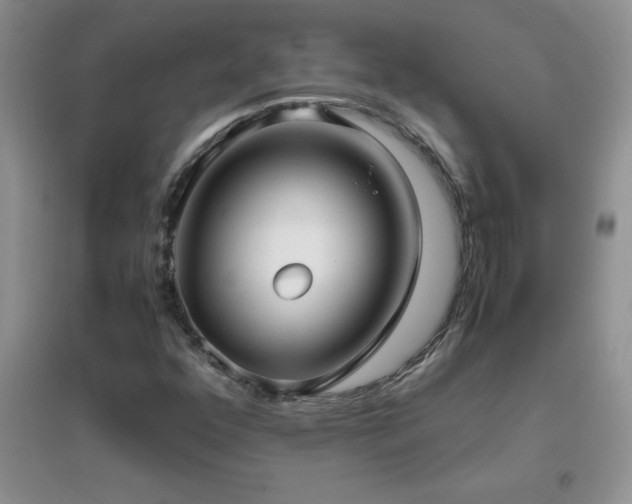 X0000097001352200802081435