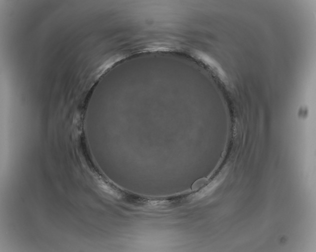 X0000097001353200802081435