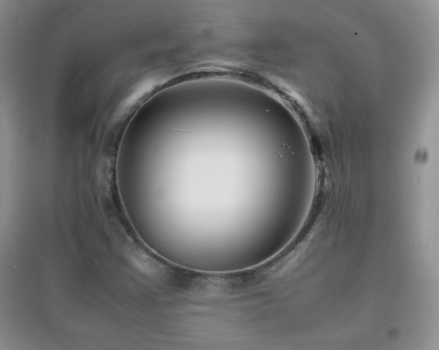X0000097001355200802081435