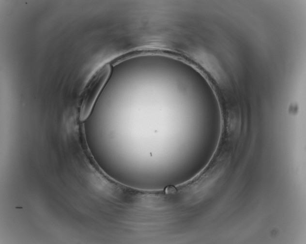 X0000097001356200802081435