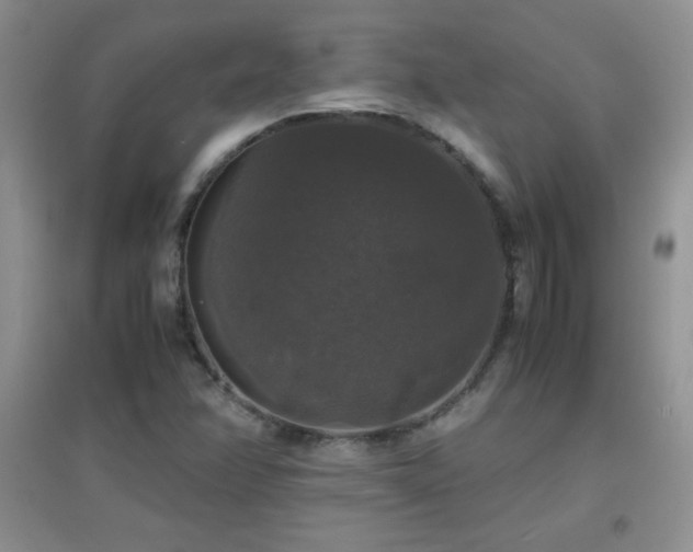 X0000097001358200802081435