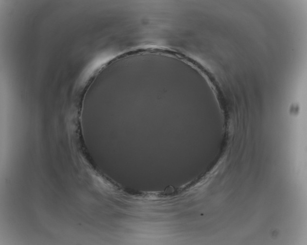 X0000097001359200802081435