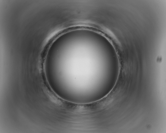 X0000097001360200802081435