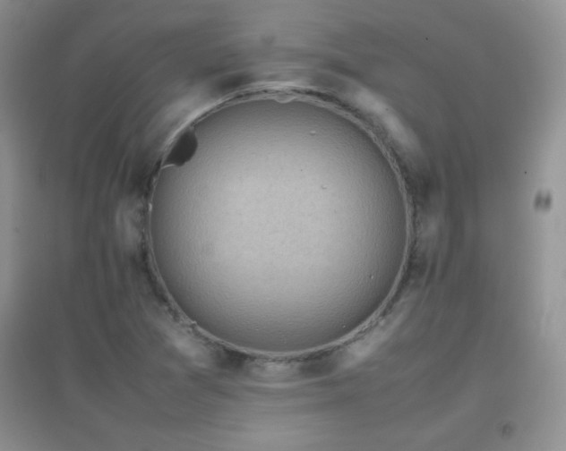 X0000097001361200802081435