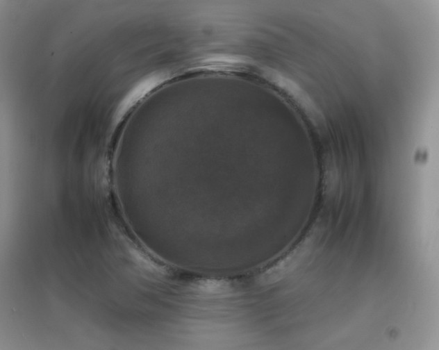 X0000097001362200802081435