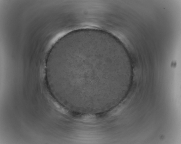 X0000097001363200802081435