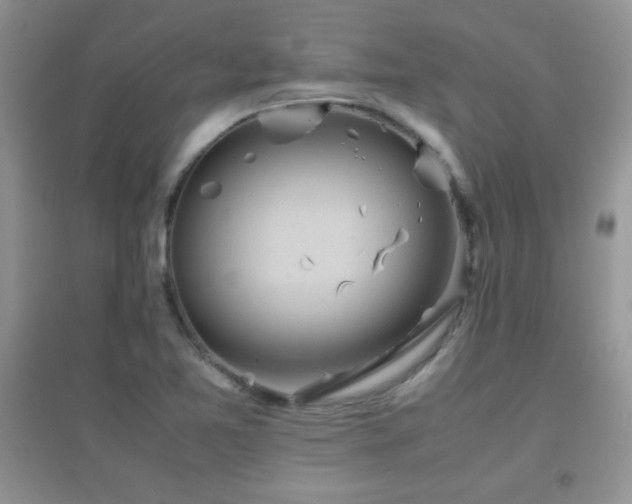 X0000097001365200802081435