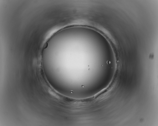 X0000097001366200802081434