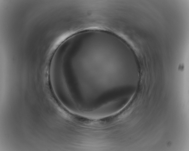 X0000097001367200802081434