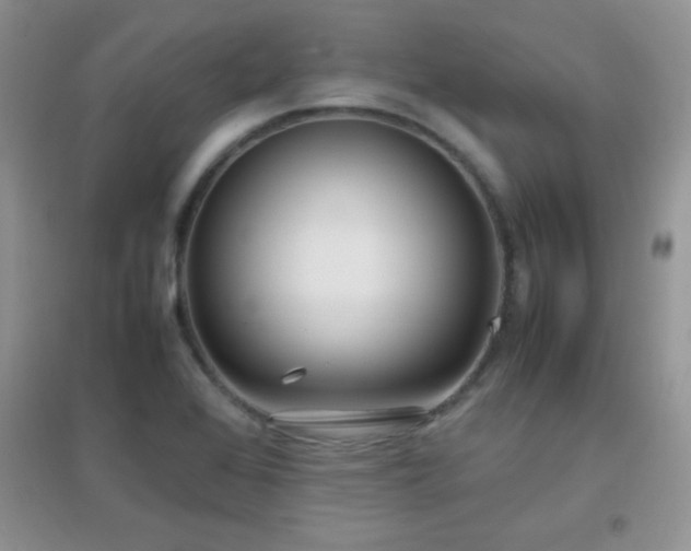 X0000097001368200802081434