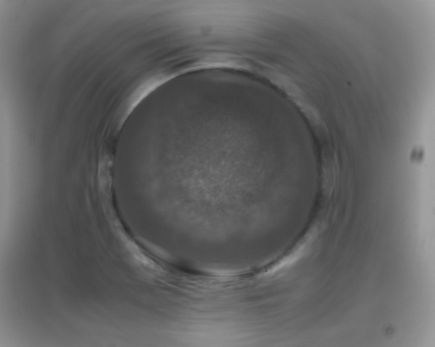 X0000097001369200802081434