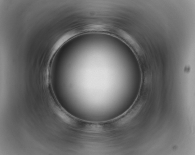 X0000097001370200802081434