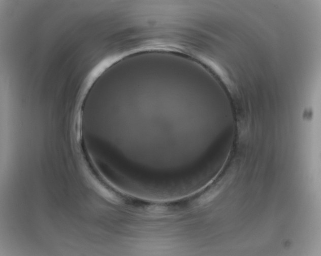 X0000097001371200802081434