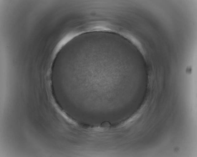 X0000097001373200802081434