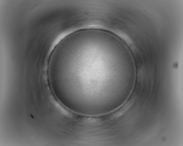 X0000097001374200802081434