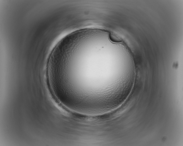X0000097001375200802081434