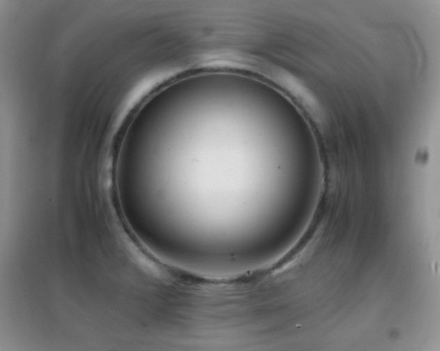X0000097001376200802081434