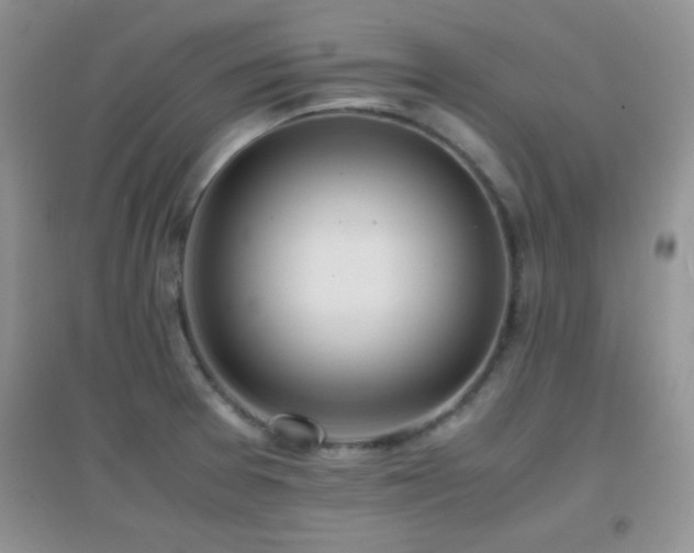 X0000097001377200802081434