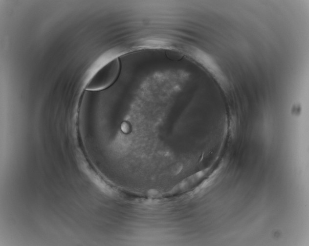 X0000097001378200802081434