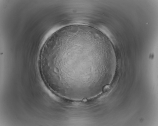 X0000097001379200802081434