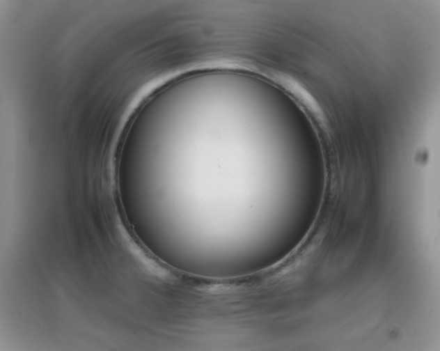 X0000097001380200802081434