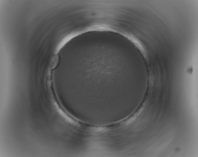 X0000097001382200802081434