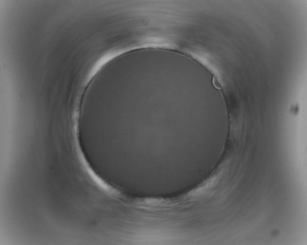 X0000097001383200802081434