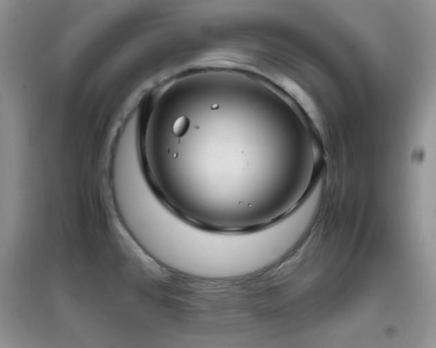 X0000097001384200802081434