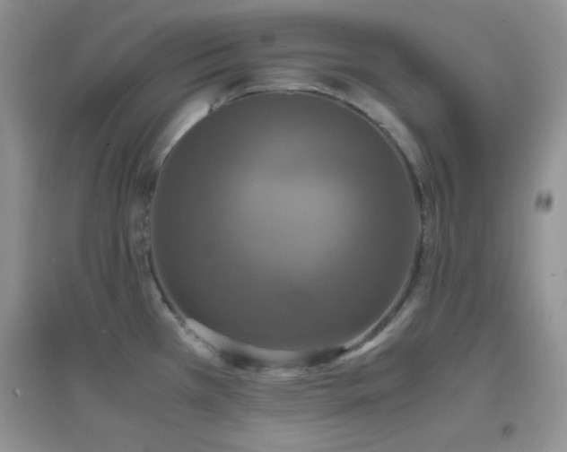 X0000097001385200802081434