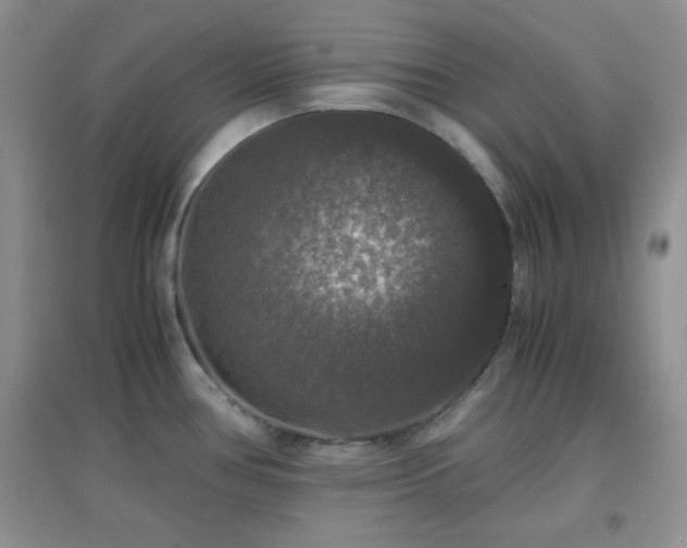 X0000097001386200802081434