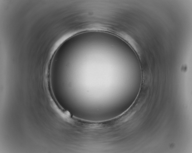 X0000097001387200802081434