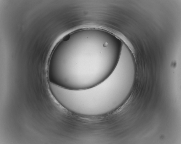 X0000097001388200802081434