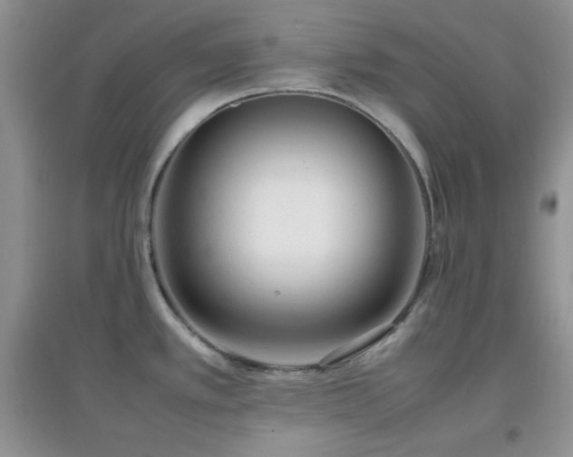 X0000097001389200802081434