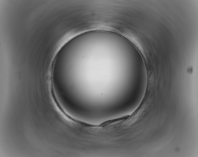 X0000097001391200802081434