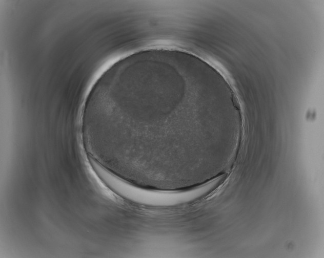 X0000097001392200802081434